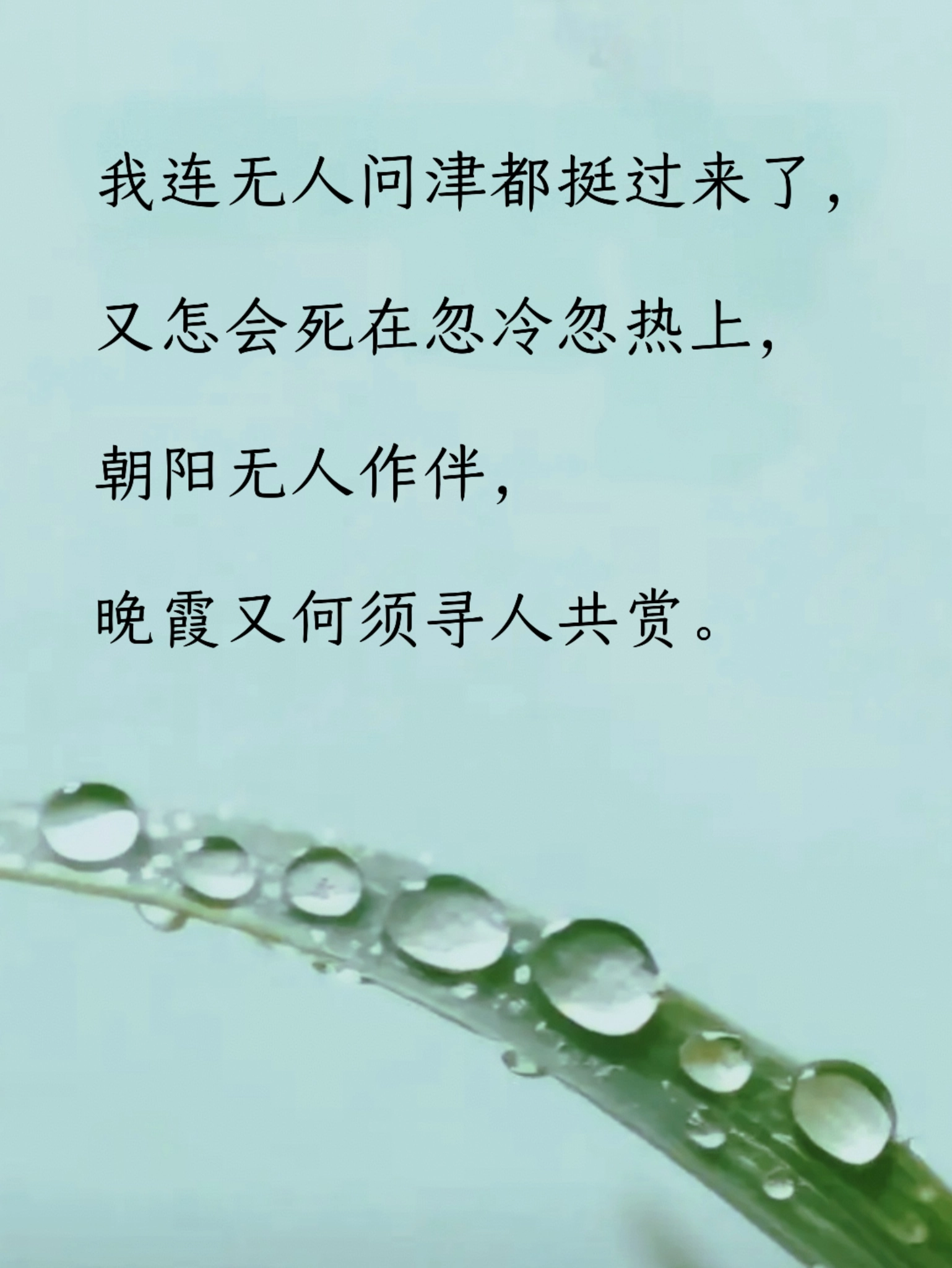 4.webp